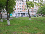 Single Image